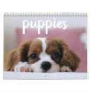 Search for black white animal calendars Cute