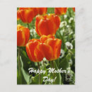 Search for ecology cards Beauty