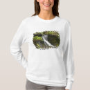 Search for fern tshirts Australia
