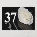 Search for 37th birthday invitations Party