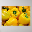 Search for pepper image posters Vegetables