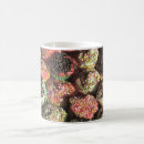 Search for buttercream mugs Sweet