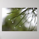 Search for needle posters Outdoors