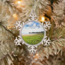 Search for wave christmas tree decorations Hawaii