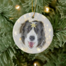 Search for border collie christmas decor Festive