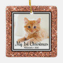 Search for sparkle christmas tree decorations Pet