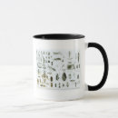 Search for entomology mugs Beetle