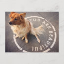 Search for pup horizontal postcards Beautiful