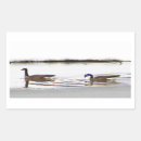 Search for waterfowl stickers Animals