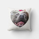 Search for pitbull cushions Puppy