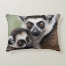 Search for lemur cushions Primate
