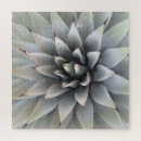 Search for plants puzzles Trendy