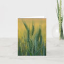 Search for crops cards Agriculture