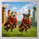 Search for snitches posters Quidditch