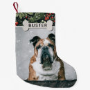Search for green christmas stockings Puppy
