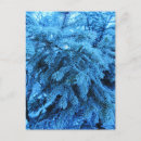 Search for spruce postcards Festive