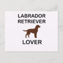 Search for chocolate lovers postcards Labrador retriever