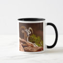 Search for herbivore mugs Usa