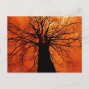 Search for orange sky postcards Nature