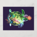 Search for turtle painting postcards Green