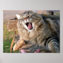 Search for long haired cat art Pet