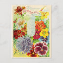 Search for vintage flower seeds postcards Floral
