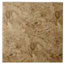 Search for fossil tiles Brown