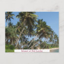 Search for island beauty postcards Beautiful