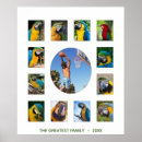 Search for reunions posters Collage