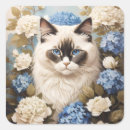 Search for ragdoll stickers Kitty