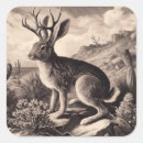 Search for jackalope stickers Rabbit