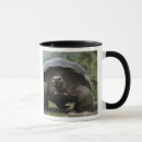 Search for tortoise mugs Ecuador