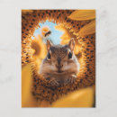 Search for cute bee postcards Sunflower