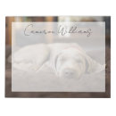 Search for purebred cards invites Sleeping