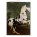 Search for piebald Equestrian