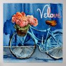 Search for velo Cyclist