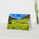 Search for swiss flowers cards Switzerland