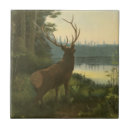 Search for back tiles Nature