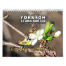 Search for bison calendars Animals