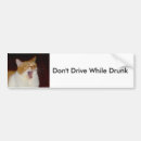 Search for drunk driving bumper stickers Drive