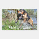Search for dog swimming stickers Pet