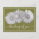 Search for gerbera Thinking of you
