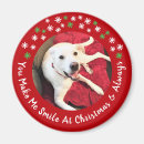 Search for funny christmas magnets Festive