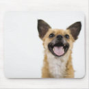Search for panting mouse mats Dogs