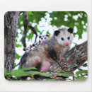 Search for possum mouse mats Animals