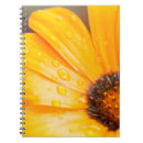 Search for african daisy notebooks For her
