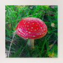 Search for fungi puzzles Fungus