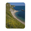Search for jurassic magnets Britain
