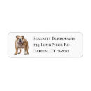 Search for english bulldog return address labels Bulldogs
