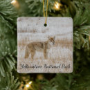 Search for coyote christmas tree decorations Wildlife